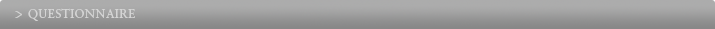 Questionnaire